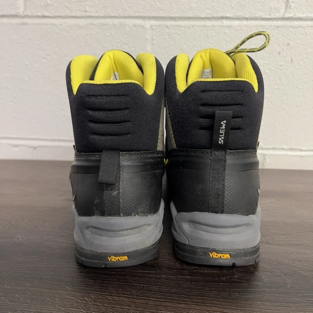 Salewa ms alp